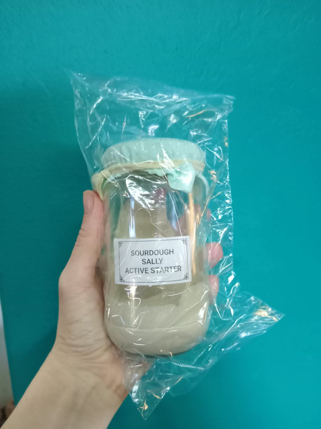 Welcoming Your Sourdough Starter Home: Arrival, First Feeding, and Ongoing Care