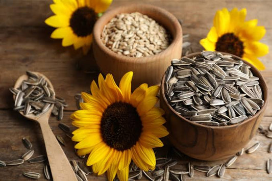 Sunflower Seeds (Pack of 50)